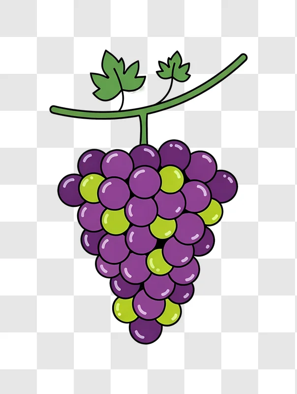 cartoon purple and green grapes on vine