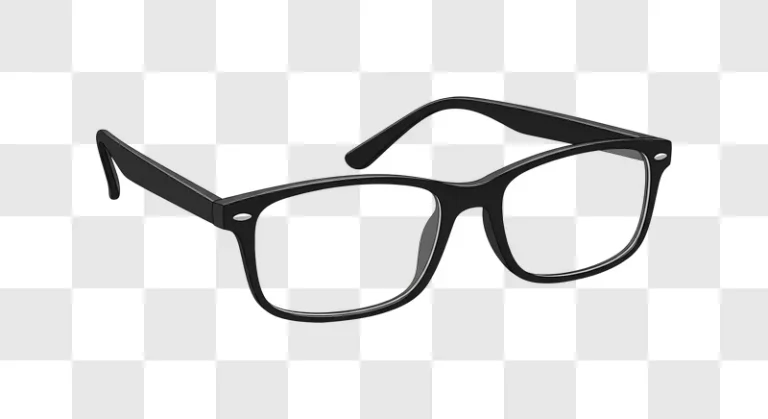 classic black frame glasses