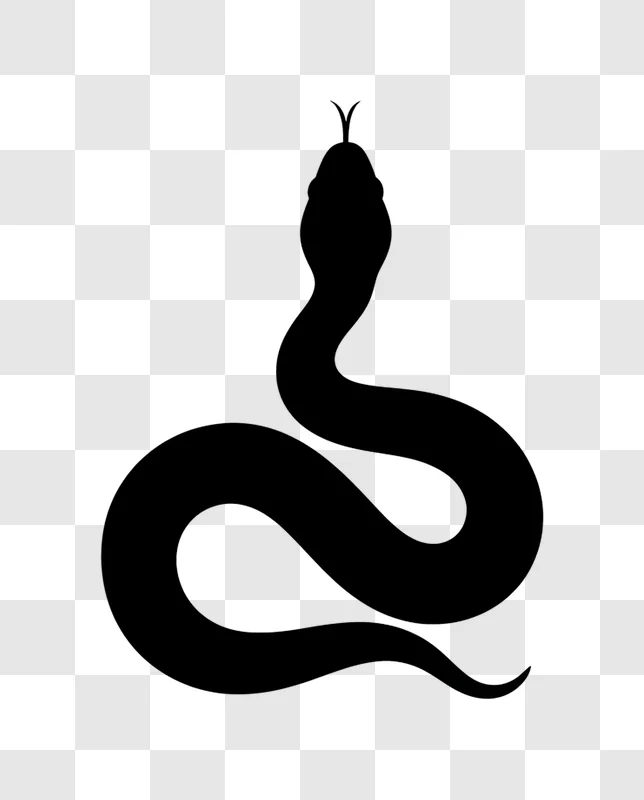 coiled snake minimalist outline on black