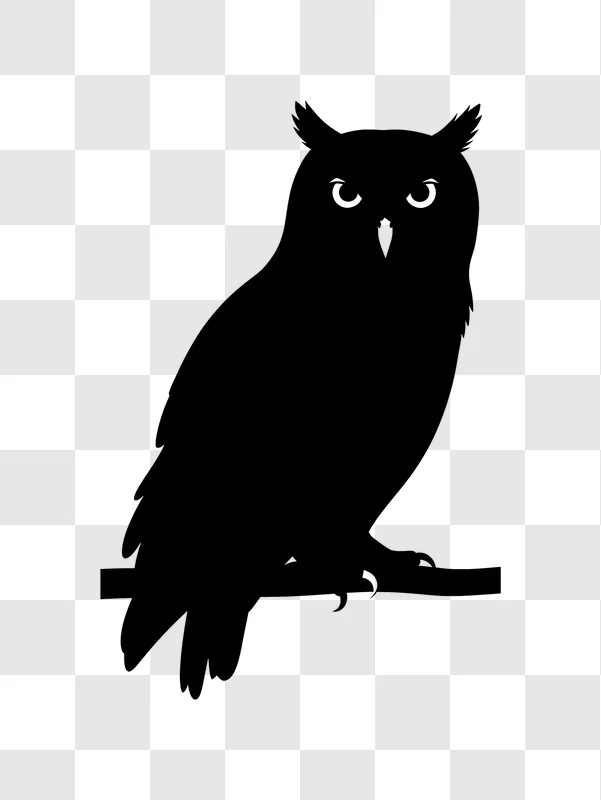 dark owl silhouette with glowing white eyes