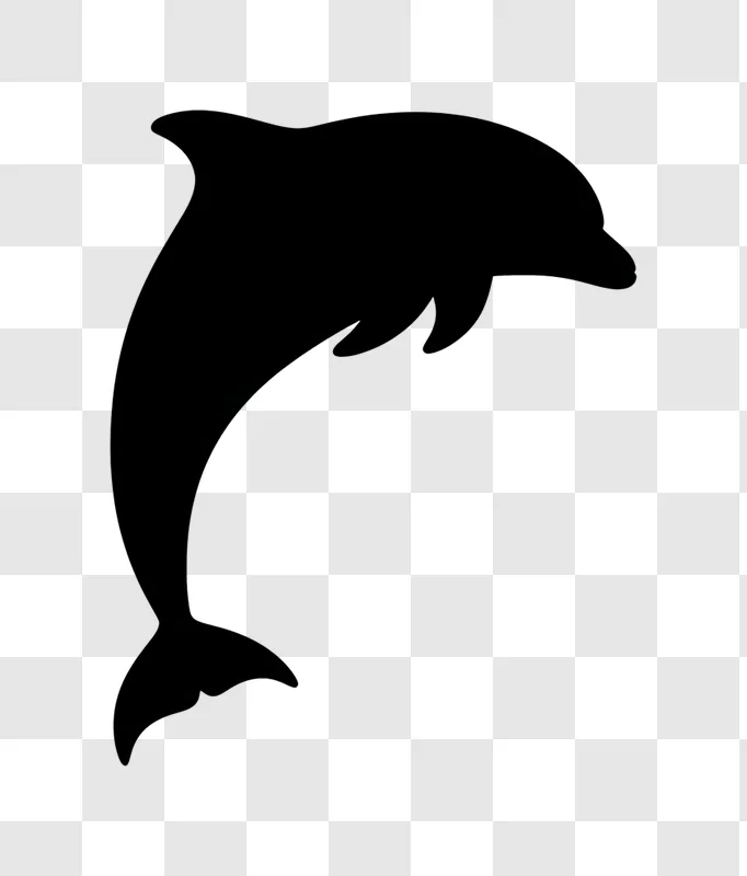 dolphin silhouette jumping against black