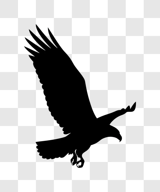 eagle flying silhouette on black background