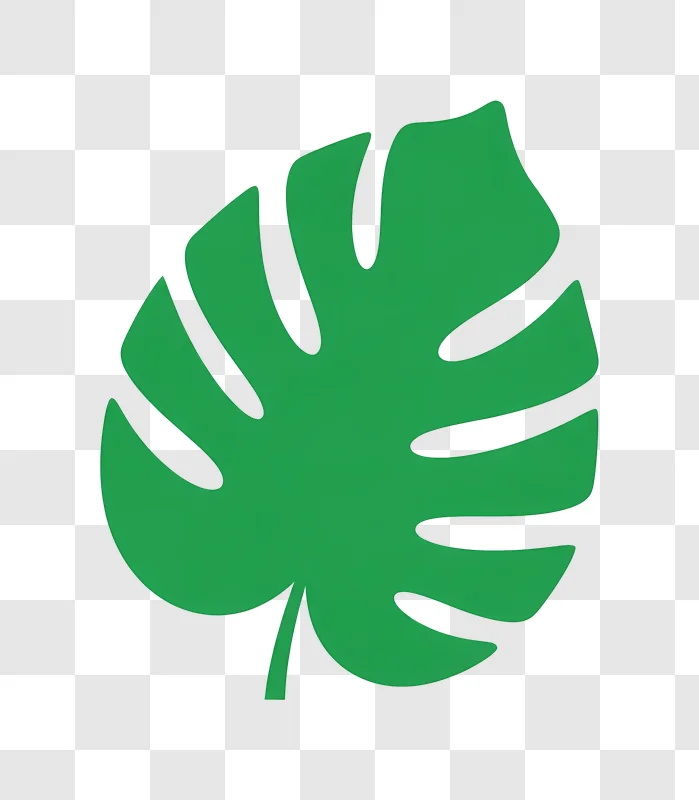 glossy green monstera leaf