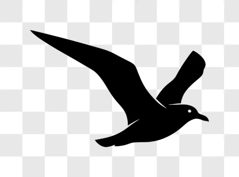 graceful white bird outline in flight