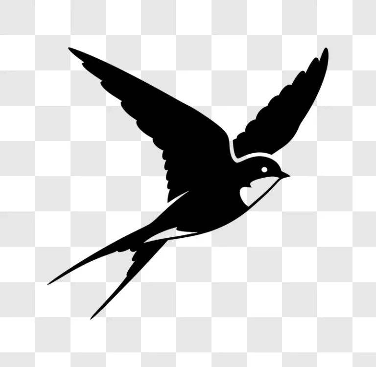 minimalist flying swallow