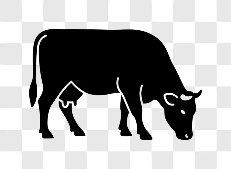 minimalist white outline cow standing on black