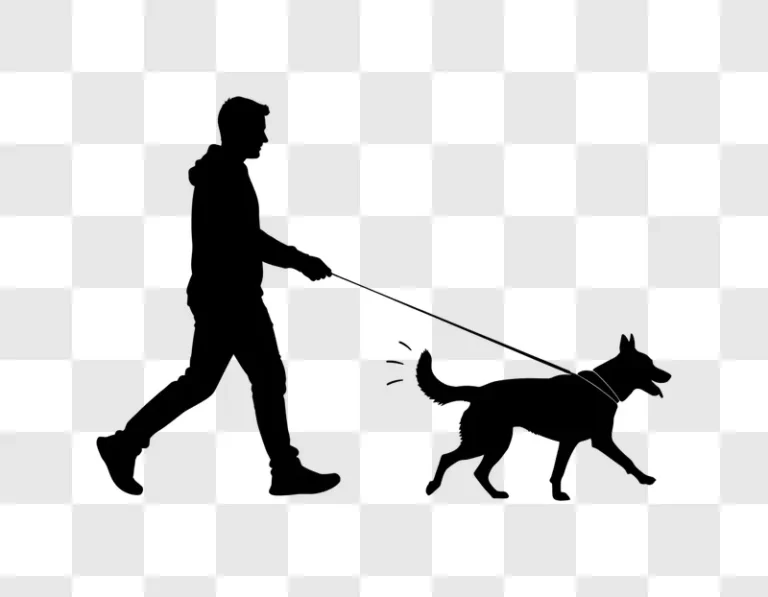 person walking dog on leash silhouette