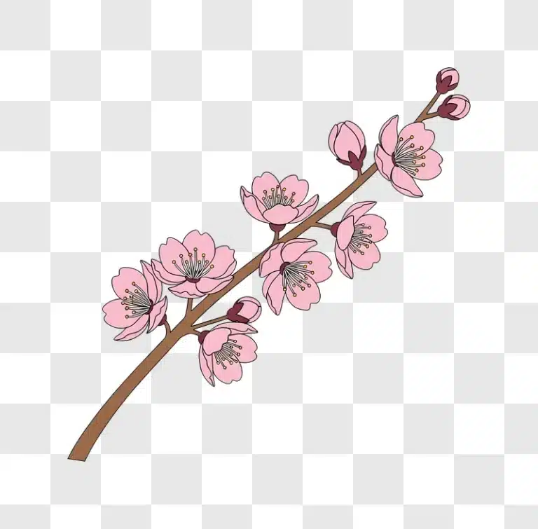 pink cherry blossoms on brown branch