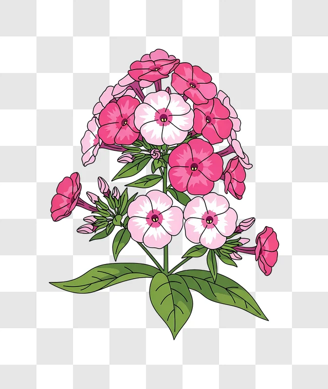 pink and white flower illustration on abstract background