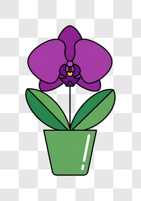 purple orchid flower in green pot