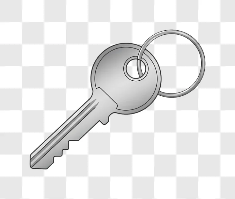 single silver key with keyring digital graphic