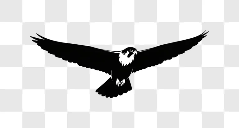 soaring falcon silhouette