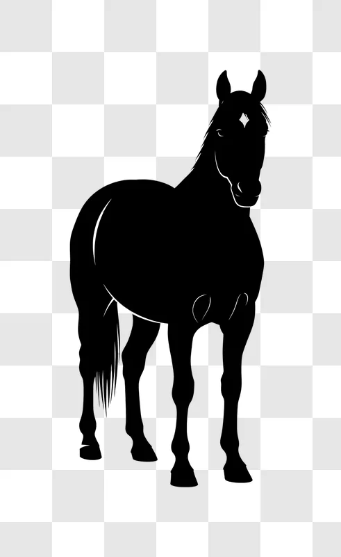 standing horse outline art on black