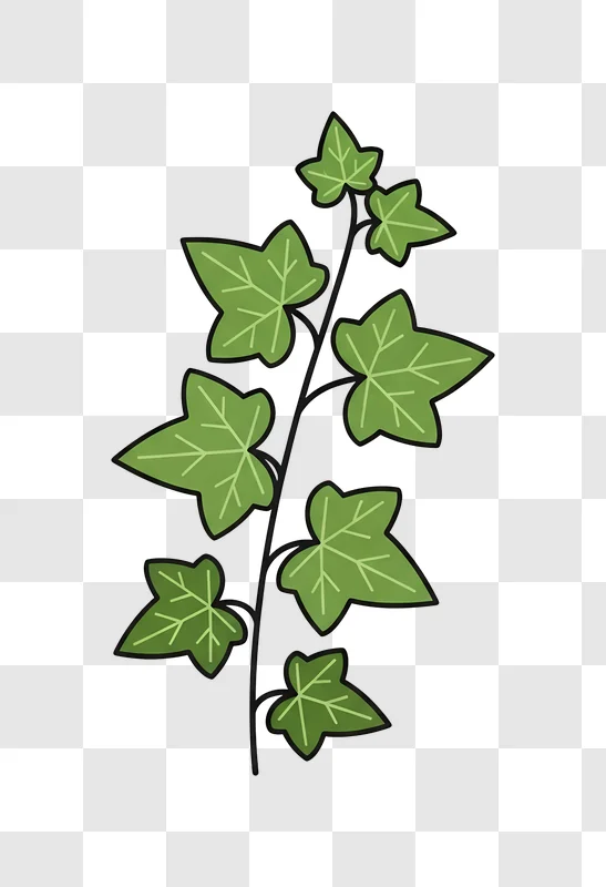 stylized green ivy leaves on black background