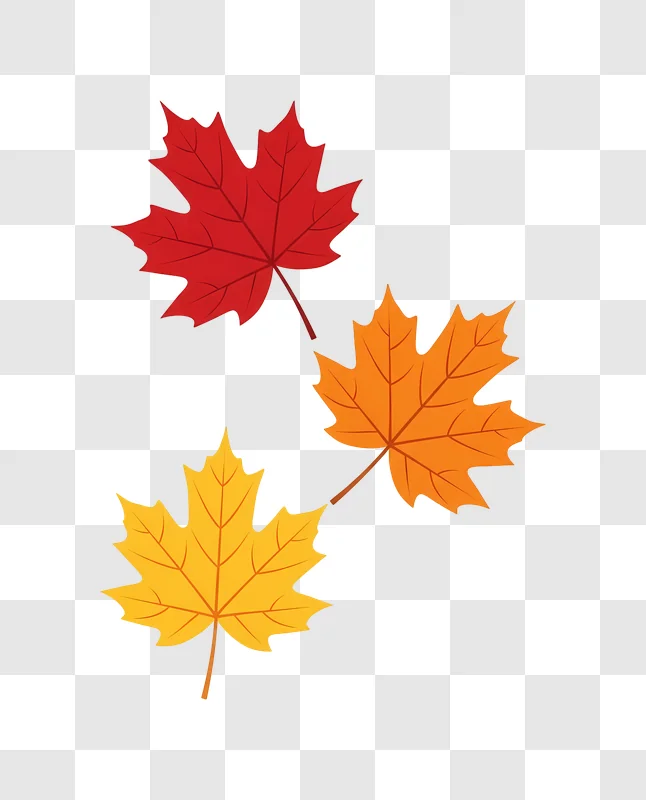 three autumn maple leaves colorful background