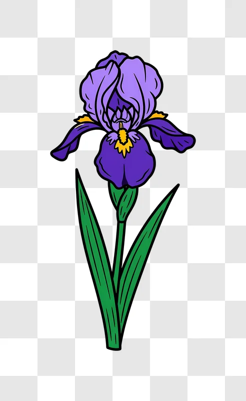 vibrant purple iris flower vector art