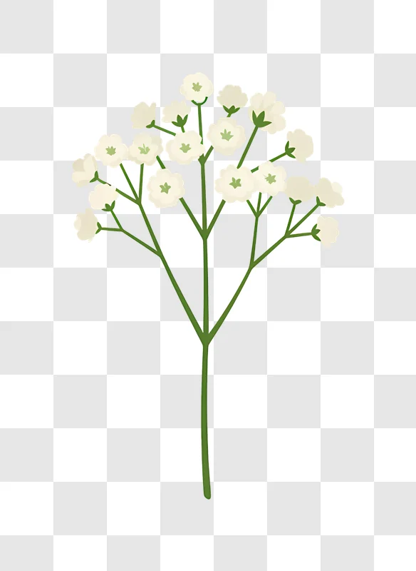 white fluffy cotton blooms digital art