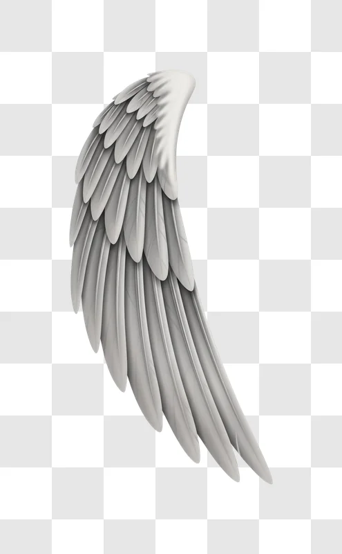 angel wing closeup feather detail illustration