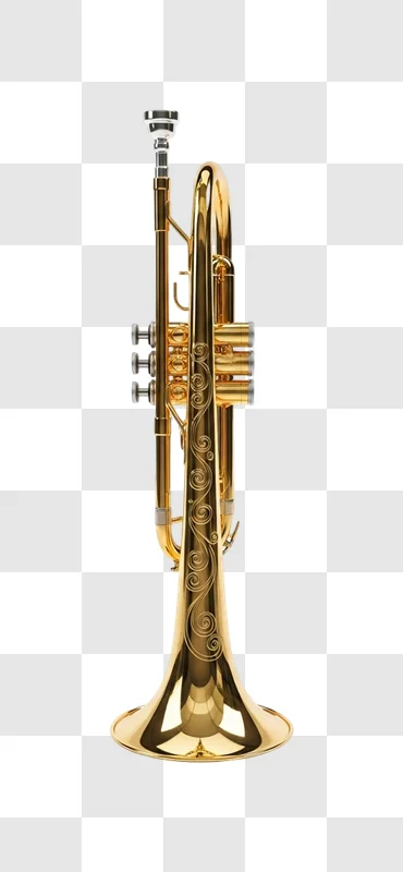 brass trumpet musical instrument closeup