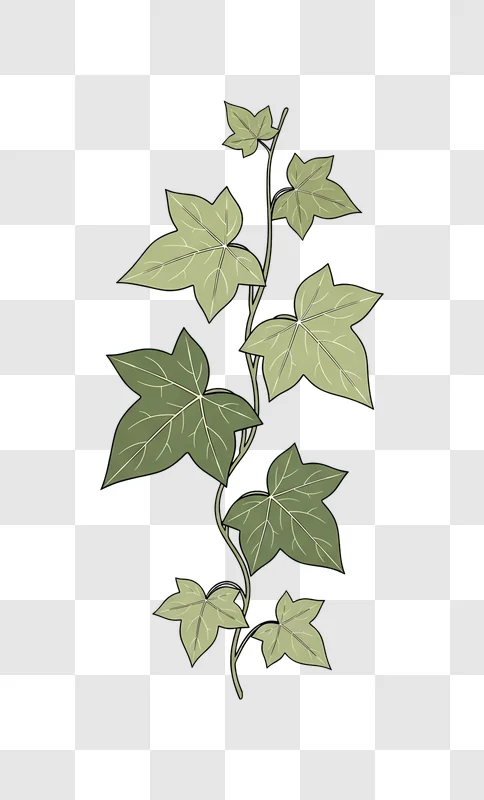 green ivy plant climbing