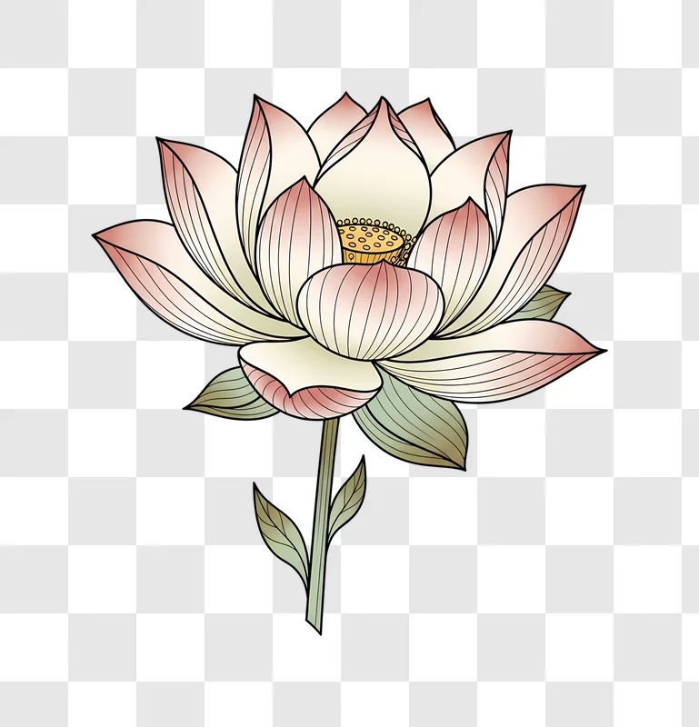 pink lotus flower with green stem