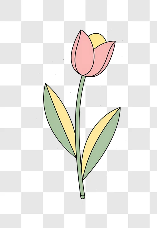pink tulip flower with green leaves