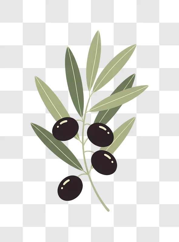 black olives on branch with leaves