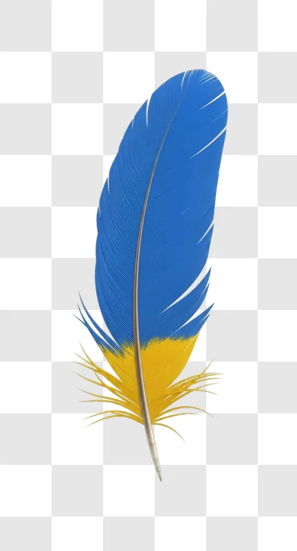blue and yellow bird feather closeup
