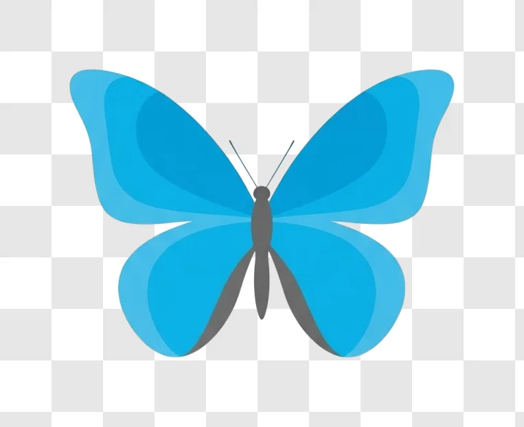 blue butterfly with open wings