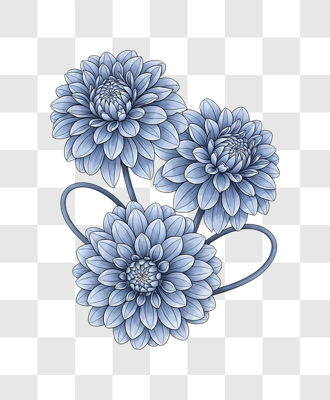 blue chrysanthemum flowers illustration