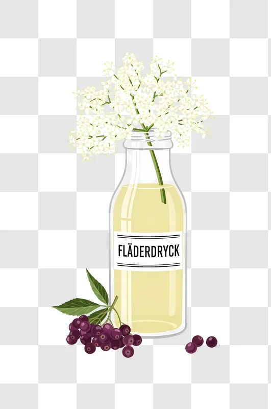 bottle of elderflower drink with berries