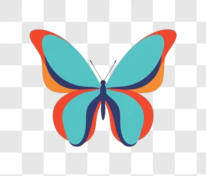 colorful butterfly illustration with blue and orange wings