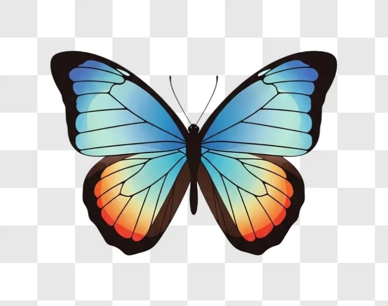 colorful butterfly with gradient wings