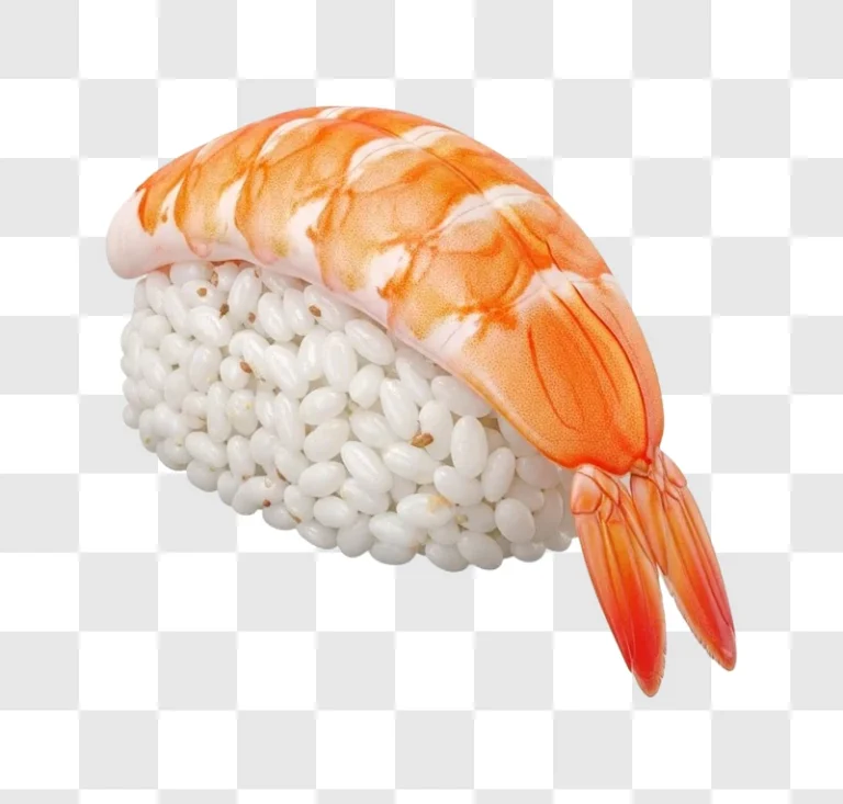 delicious shrimp sushi roll closeup