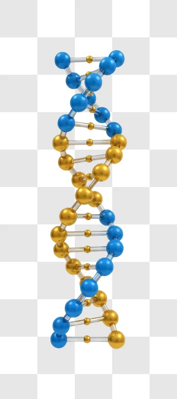 dna molecule structure model blue gold