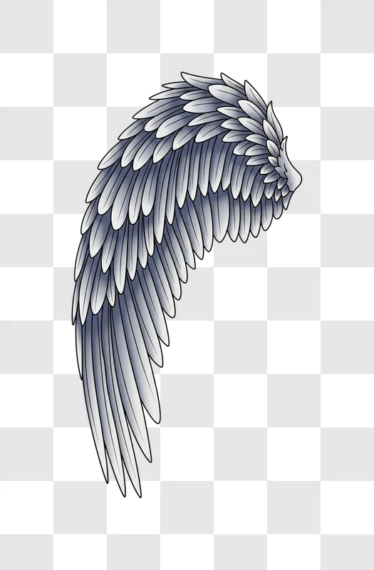 gray bird wing feathers illustration