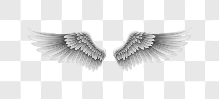 gray feathered angel wings spread