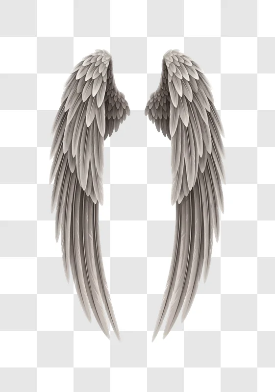 gray feathered angel wings