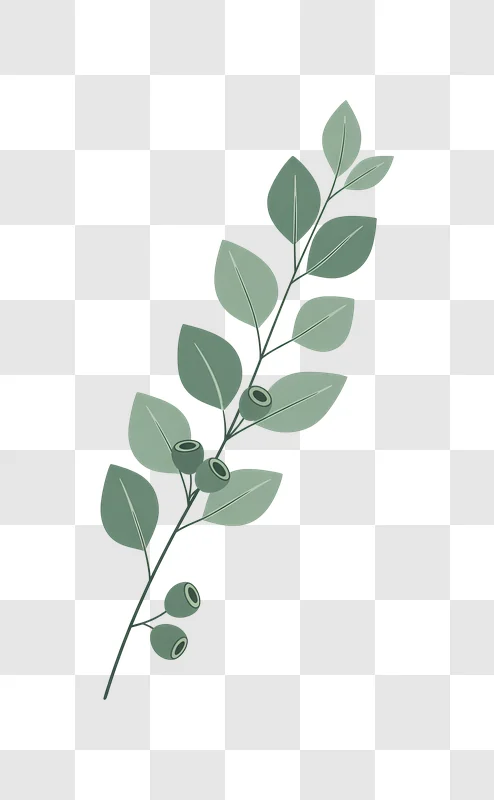 green eucalyptus branch with berries