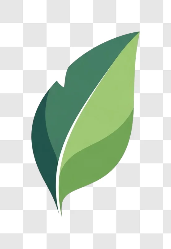 green leaf illustration design element