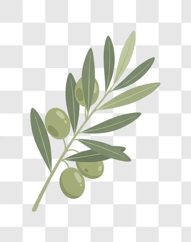 green olive branch with olives