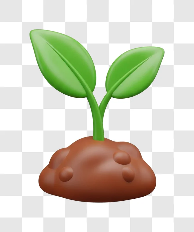 green plant sprout growing from soil