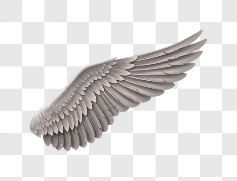 grey wing sculpture closeup