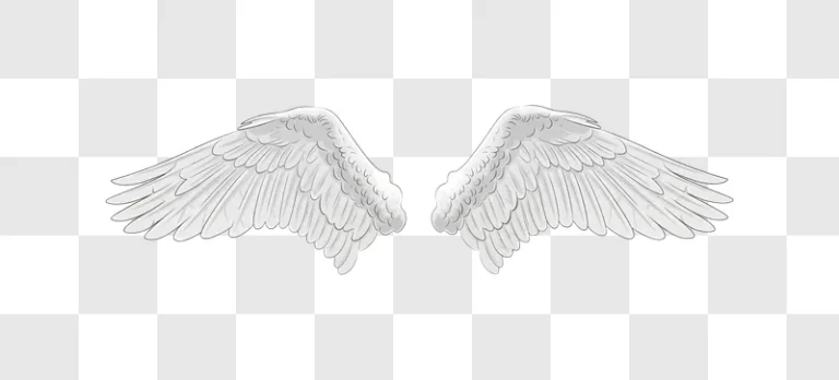 white angel wings illustration