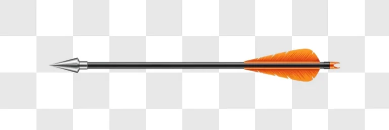 arrow with orange fletching and metal tip