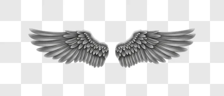 grey wings spread wide apart