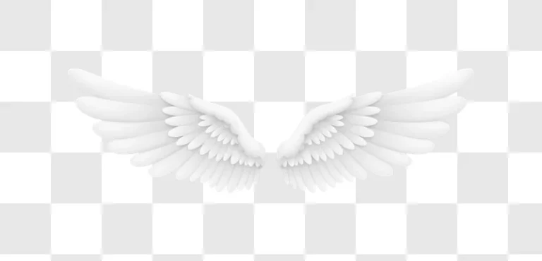 white angel wings isolated background