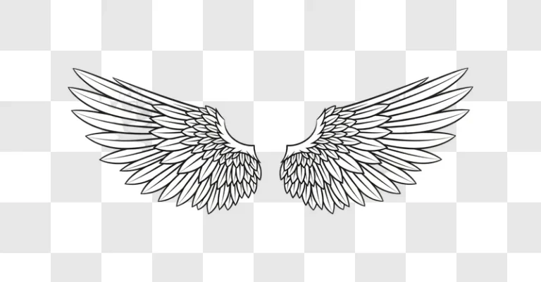 white angelic wings spread open wide