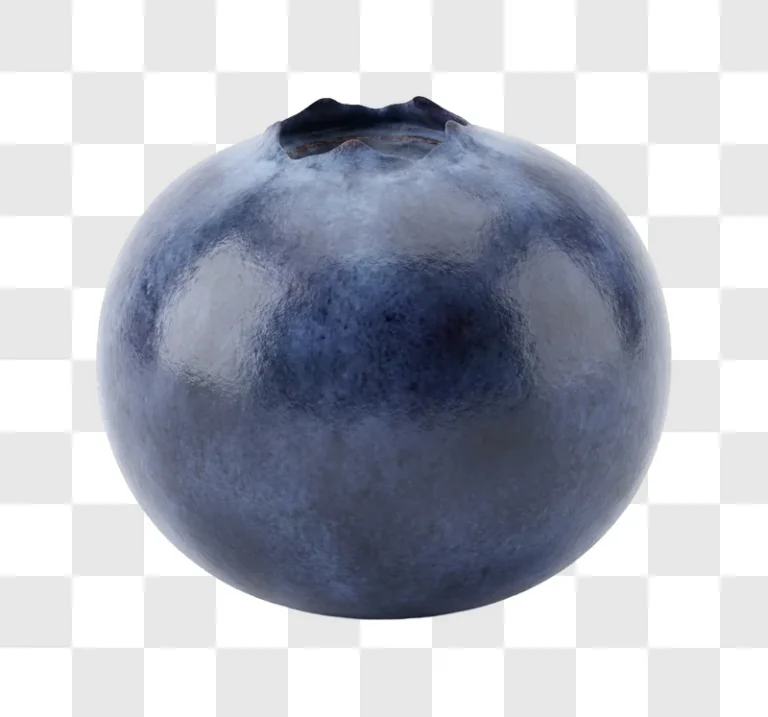 Blueberry Close up: single dark blue fruit, detailed texture
