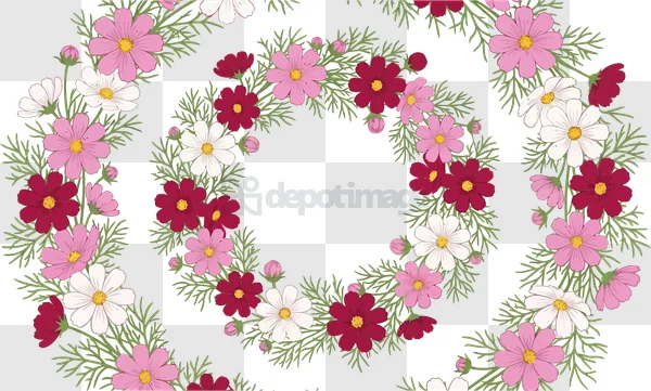 Cosmos Flowers Petals Circular Pattern pink white red flowers